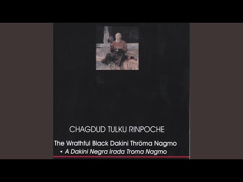 Sequence - OM YE DHARMA (pg. xxix)