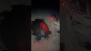 Hôtel Kasa Afrikana