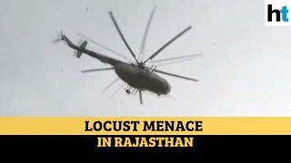 Watch: Helicopter sprays pesticides in Jodhpur to ward off locusts