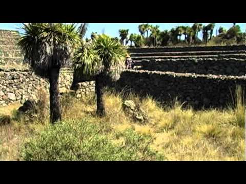 Zona arqueológica de Cantona, la más urb