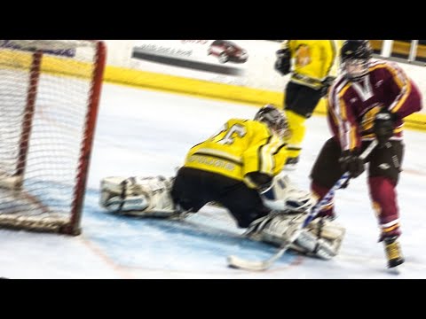 Hockey Fan Saves Coach Life With This Single Glance
