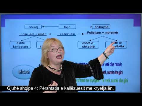 Gjuhë shqipe 4 - Përshtatja e kallëzuesit me kryefjalën.