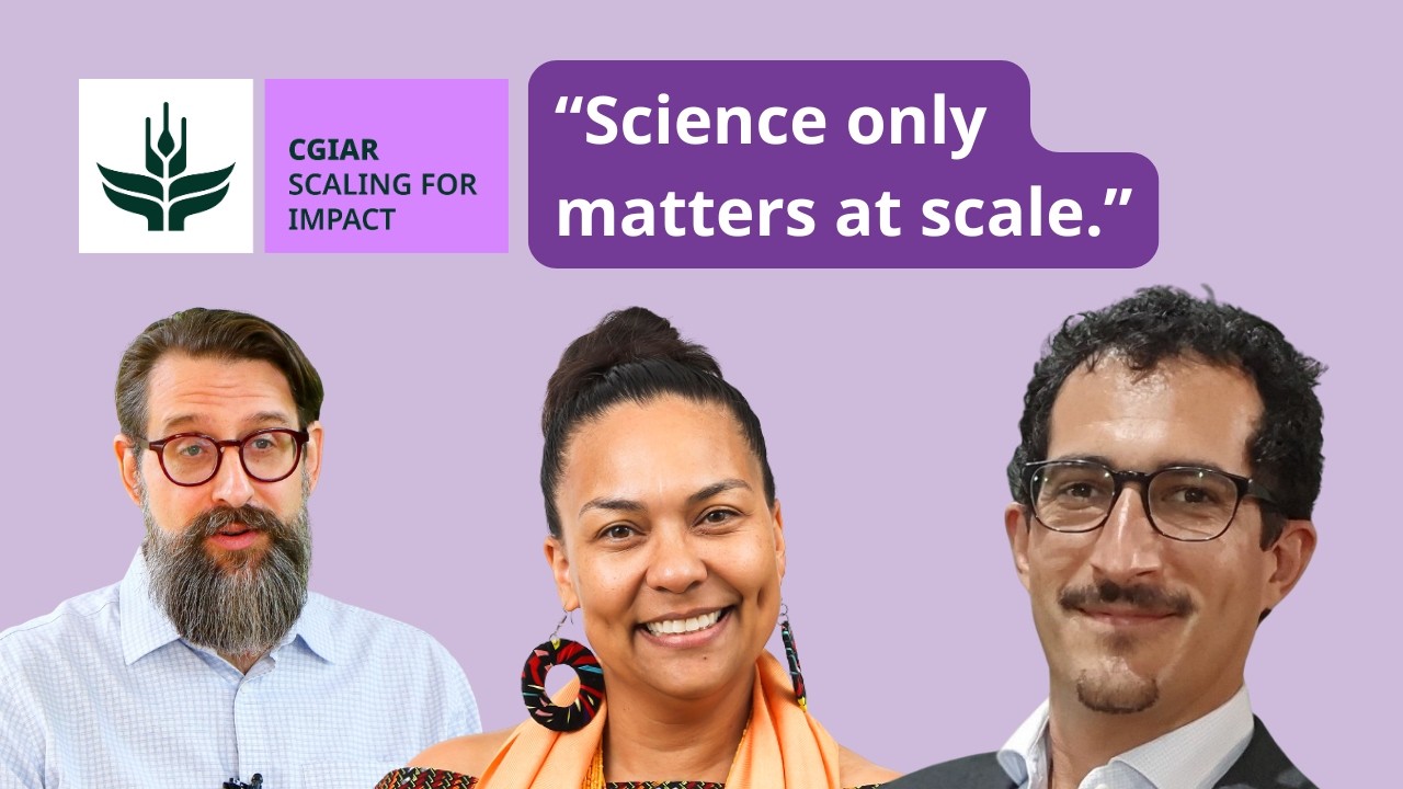 The added value Scaling for Impact brings to CGIAR