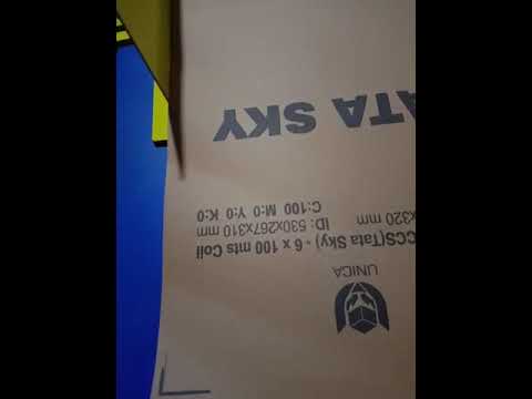 Flexo papr printing machin scp 01 two colour