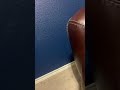 Backyardigans Volume 2 Part 4