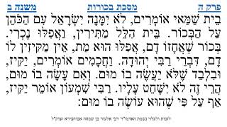 מסכת בכורות פרק ה משנה ב