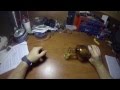 Videoclip integro con GoPro