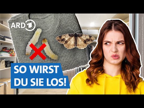 Das hilft gegen Kleidermotten | Marktcheck SWR