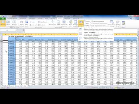 Microsoft Excel Intermediate Course [lesson #26] - Locking a Window