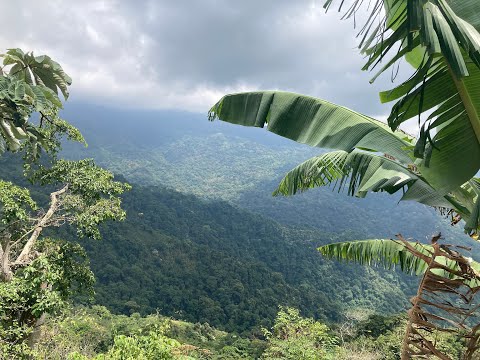 2025 Colombia Road Movie - Putumayo, Sierra Nevada, Bogotá, Santa Marta