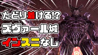 【FF11】闇の王が居るところまでインスニ使えません！【MGS】