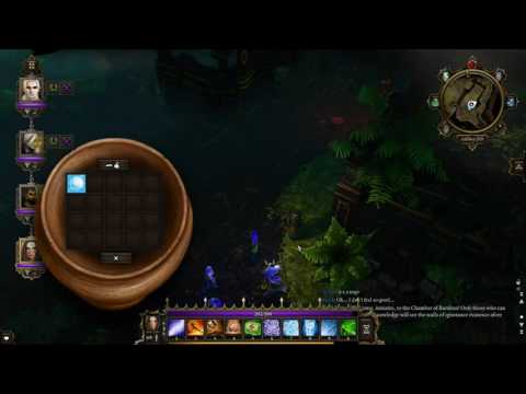 Divinity Original Sin EE: Trial of the Immaculates
