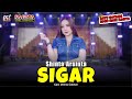 Shinta Arsinta Sigar Goyang Esek Esek Sagita Assololley Dangdut Official Music Video