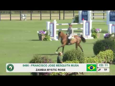 Zâmbia Mystic Rose e Francisco Musa