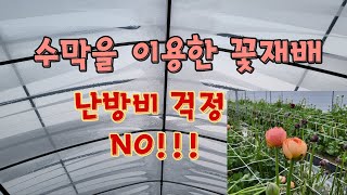 [수막재배] 난방비 걱정없는 꽃재배: 수막을 이용한 온도관리