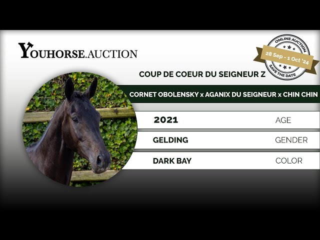 Coup de Coeur du Seigneur Z