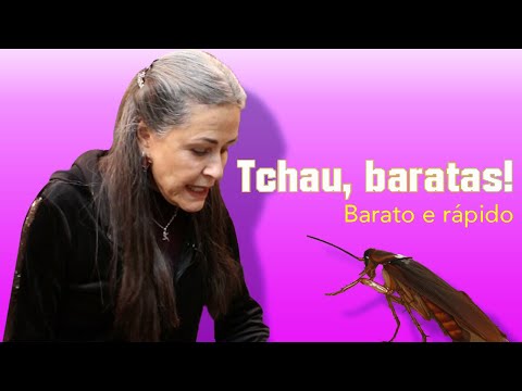 TCHAU, BARATAS!| COMO ACABAR COM BARATAS| BARATO E RÁPIDO