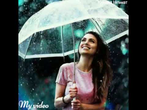 Ayollarga atalgan sher juda zor chiqipti