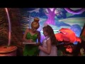 Meeting The 2009 Disney Fairies Characters Walt Disney World