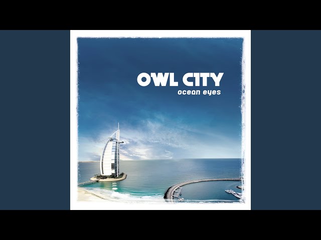 Owl City - Fireflies