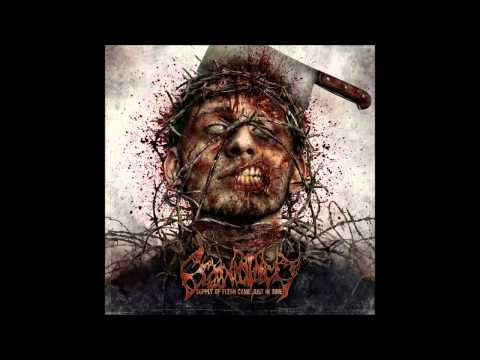 Craniotomy - Supply Of Flesh Came Just In Time (2013 full album) Amputated Vein Records