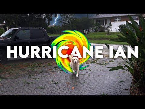 How Our Pets Reacted to Hurricane Ian