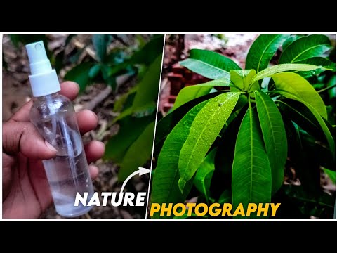 nature photographyv | nature photography editing | nature photo editing#short