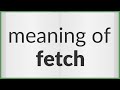 Fetch | meaning of Fetch