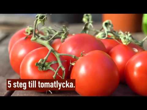 , title : 'Lyckas med dina tomater!'