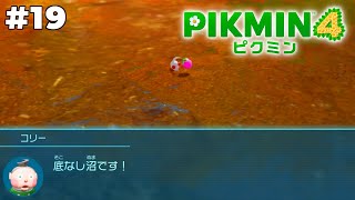 ピクミンが溺れてるでしょうが！！【ピクミン4】#19