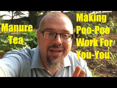 download lagu mp3 mp4 What Is Manure Tea, download lagu What Is Manure Tea gratis, unduh video klip What Is Manure Tea