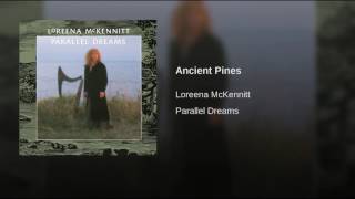 Ancient Pines