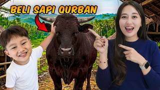 ALETHA ABEW BELI SAPI LIMOSIN BESAR thumbnail