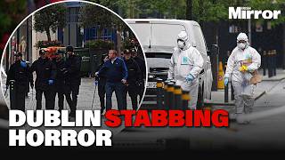 Man who died after Dublin city stabbing was hunted down as he ran for his life