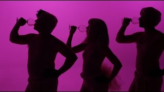 Sia "Cheap Thrills" Parody | "Grape Thrills" Official Wine Music Video