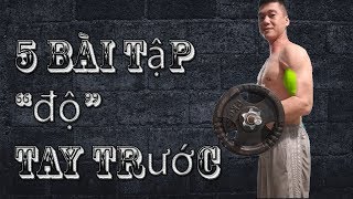 Top 5 b&agrave;i tập tay trước gi&uacute;p bắp tay to khỏe v&agrave; ph&aacute;t triển d&agrave;nh cho người mới tập Gym