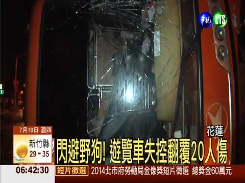 閃避野狗! 遊覽車失控翻覆20人傷