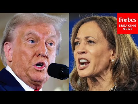  Trump Trashes Kamala Harris's 'Boring As Hell' Closing Argument 