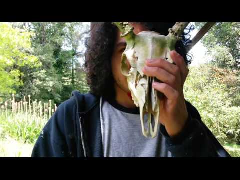 NONVMES - Abe's Song  [prod.NONVMES]