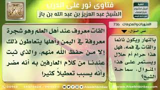 736 - حكم تعاطي شجرة القات - نور على الدرب image