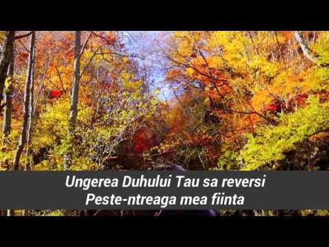 Ligia Odev   Esti bucuria mea