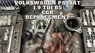 VW Passat 1,9 TDI EGR Replacement