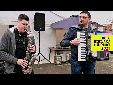 KOLO / BIBIJAKA DJURINCI 2021 / MOMIR / MANUEL / BLIZANCI / BURIC / BOJAN GULA / MILAN STRASNI