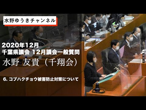 国際関係学科 【2020年12月千葉県議会　水野ゆうき一般質問】⑥コブハクチョウ被害防止対策について