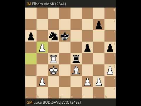 Luka Budisavljevic vs Elham Amar- World Juniors 2023, Round 5