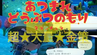 【あつ森】最高売却額？！？【タランチュラ&レックス】で40万？