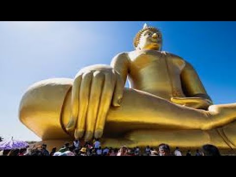 Buddha Der Weg zur Erleuchtung