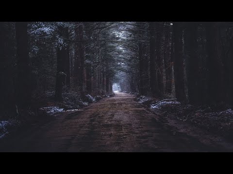 Racing for Life - Duty Division feat. Dante Jones | Pop Music