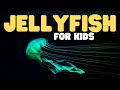 Jellyfish For Kids Learn About The Graceful Invertebrates