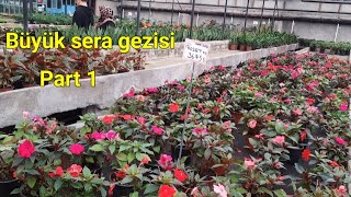 Ankara'nın En Büyük Serası Salon Çiçekleri part 1